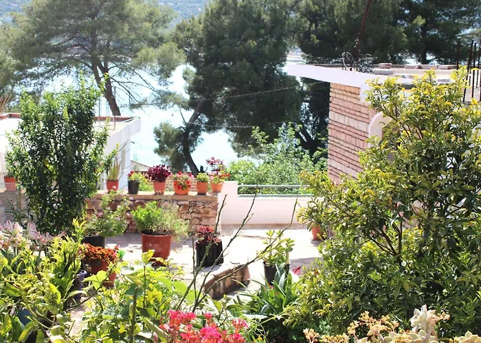 Lemon House